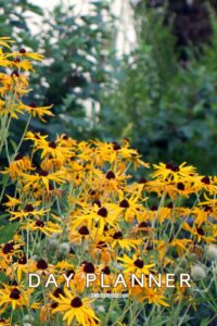 Book cover with black eyed susan flowers