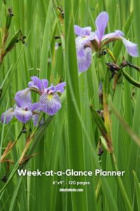 Planner notebook with irises on the cover